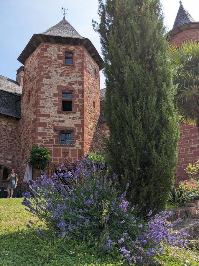 Chateau De Vassinhac Chambres D'Hotes Collonges La Rouge 외부 사진